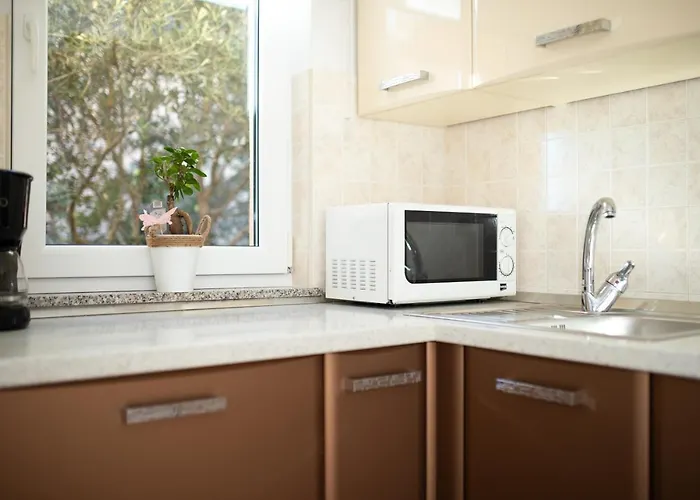 Appartamento La Vista With Pool Salatić